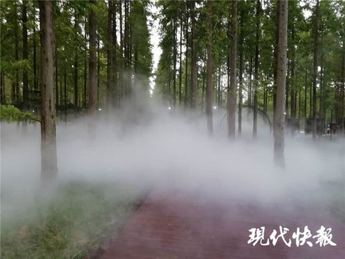 江苏林木种苗和林下经济产业总值已达746亿元