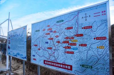 岳西县“三个打造”助力中药材高质量发展