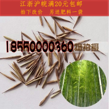 【竹子种子】最新最全竹子种子 产品参考信息