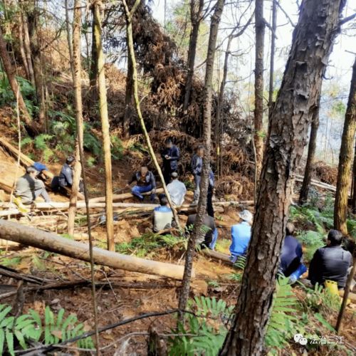 寨佬 联合,三江独峒镇一起跨省林木纠纷案顺利解决